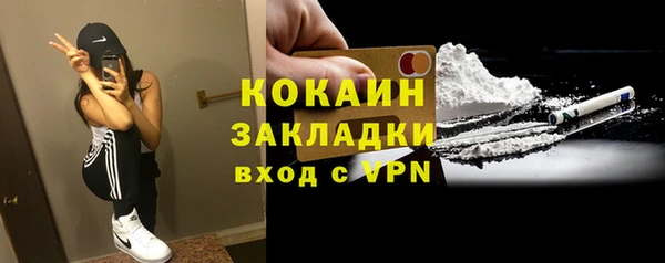индика Абинск