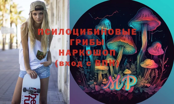 индика Абинск