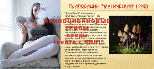 гидра Абдулино