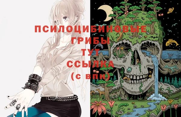 гидра Абдулино
