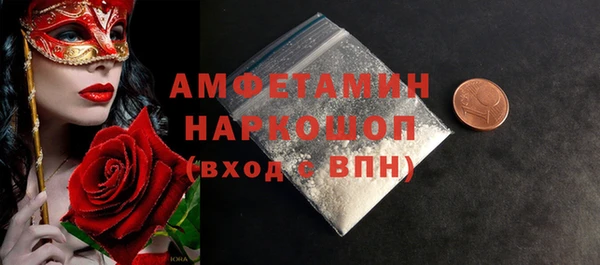 индика Абинск