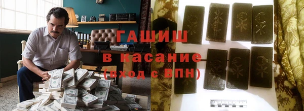 индика Абинск
