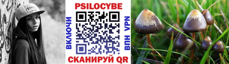 купить наркоту  Горбатов  Псилоцибиновые грибы Cubensis 