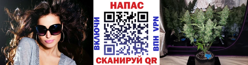 Каннабис планчик  сколько стоит  MEGA онион  Горбатов 